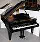 Flügel-Bechstein-B-schwarz3-2-b