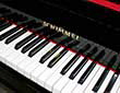 lavier-Schimmel-106-schwarz-176743-3-b