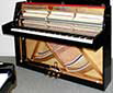 lavier-Schimmel-106-schwarz-176743-6-b