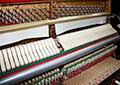 lavier-Schimmel-106-schwarz-176743-7-b