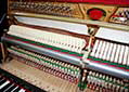 lavier-Schimmel-106-schwarz-176743-8-b